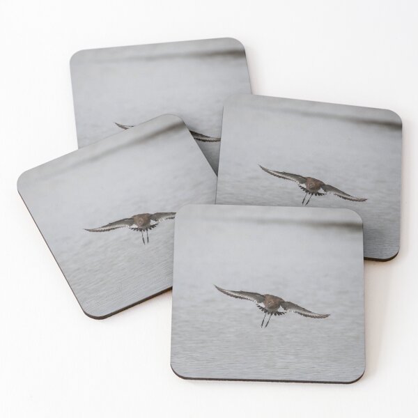 Item preview, Curlew designed and sold by MTPhotos1406.