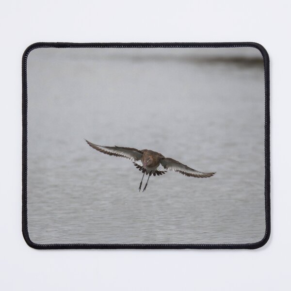 Item preview, Curlew designed and sold by MTPhotos1406.