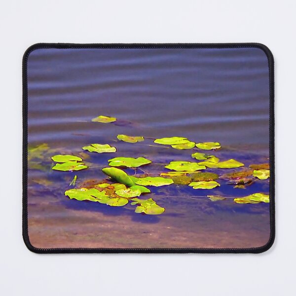 Item preview, Parts of life in water designed and sold by DjeriK.
