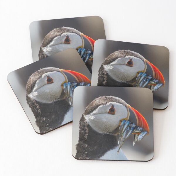 Item preview, Puffin with Sand Eels - Northumberland Coast  designed and sold by Ospreychild.
