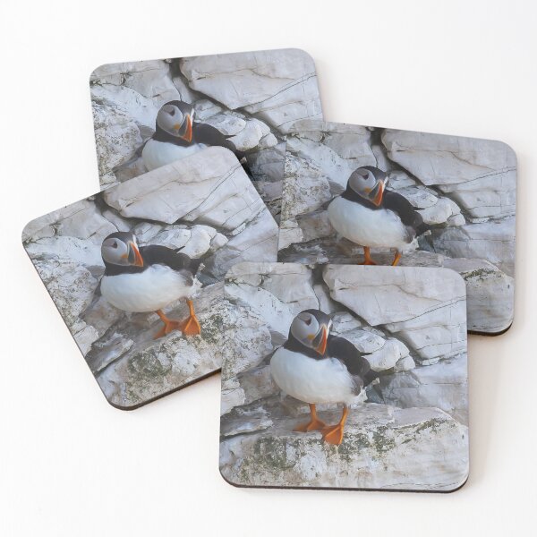 Item preview, Puffin - North Yorkshire Coast  designed and sold by Ospreychild.
