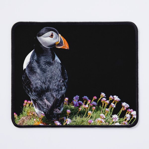 Item preview, Puffin - Scottish Inner Hebrides designed and sold by Ospreychild.