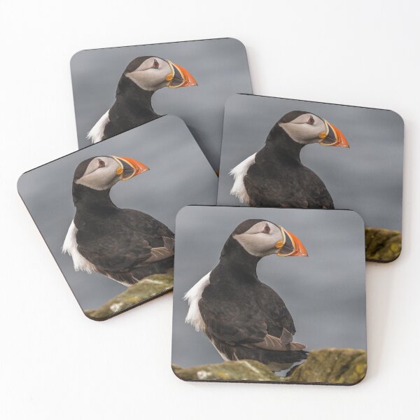 Item preview, Puffin - Northumberland Coast  designed and sold by Ospreychild.