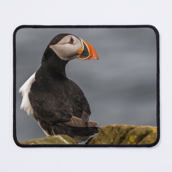 Item preview, Puffin - Northumberland Coast designed and sold by Ospreychild.