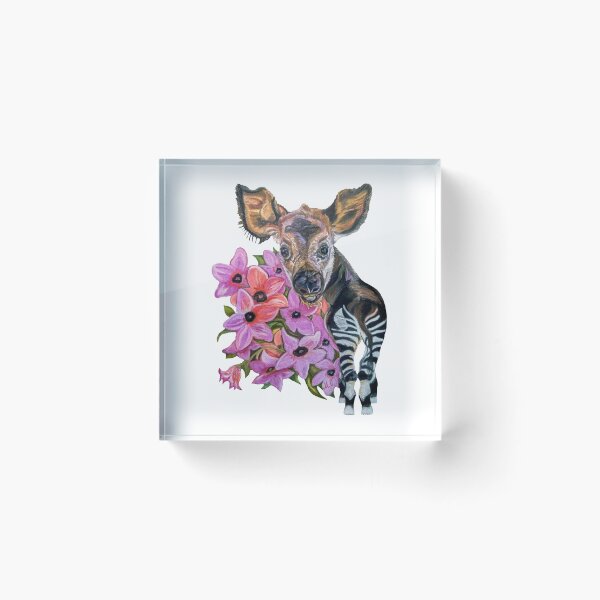 Item preview, Baby Okapi  designed and sold by MariaSibireva.