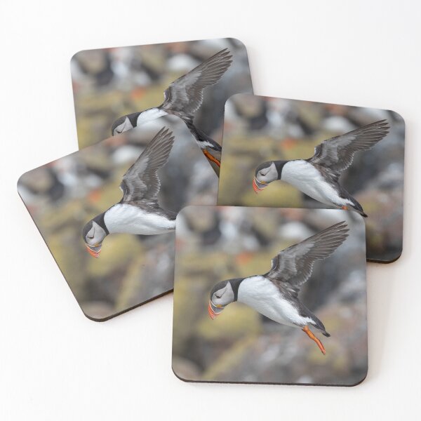 Item preview, Puffin in flight - Northumberland Coast  designed and sold by Ospreychild.