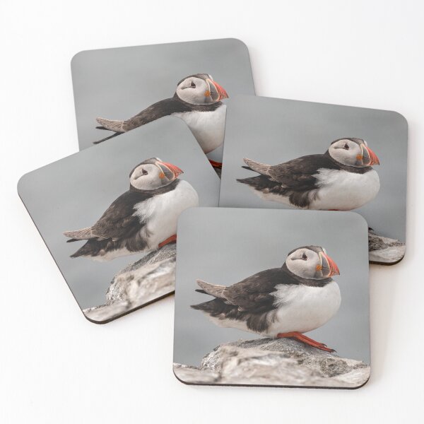 Item preview, Puffin looking out to Sea - Northumberland Coast  designed and sold by Ospreychild.