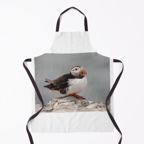 Item preview, Puffin looking out to Sea - Northumberland Coast designed and sold by Ospreychild.