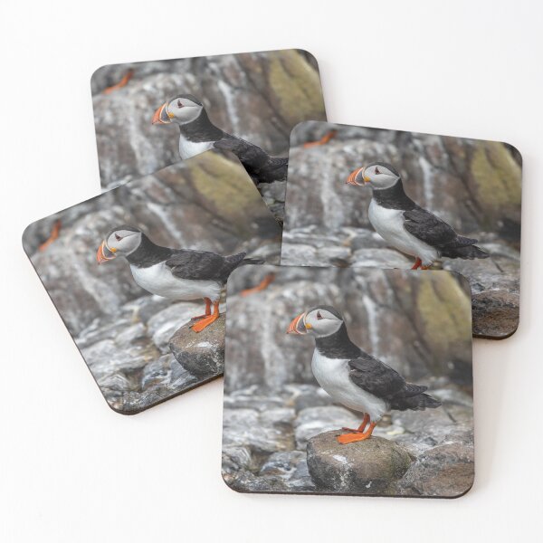 Item preview, Puffin the Parrots of the sea designed and sold by Ospreychild.