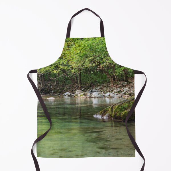 Item preview, Fresh Water Flowing Through Lush Mountain Forest Along the Kinomata River, Tochigi, Japan designed and sold by Pix4Japan.