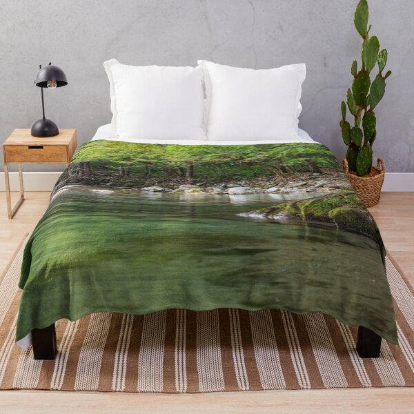 Item preview, Fresh Water Flowing Through Lush Mountain Forest Along the Kinomata River, Tochigi, Japan designed and sold by Pix4Japan.