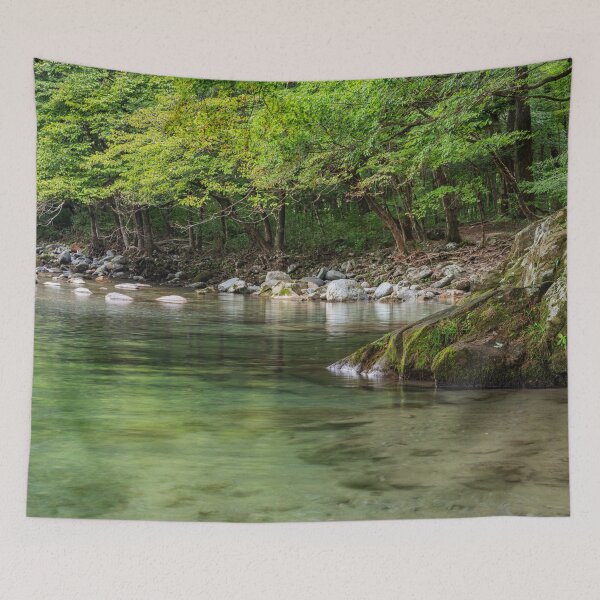 Item preview, Fresh Water Flowing Through Lush Mountain Forest Along the Kinomata River, Tochigi, Japan designed and sold by Pix4Japan.