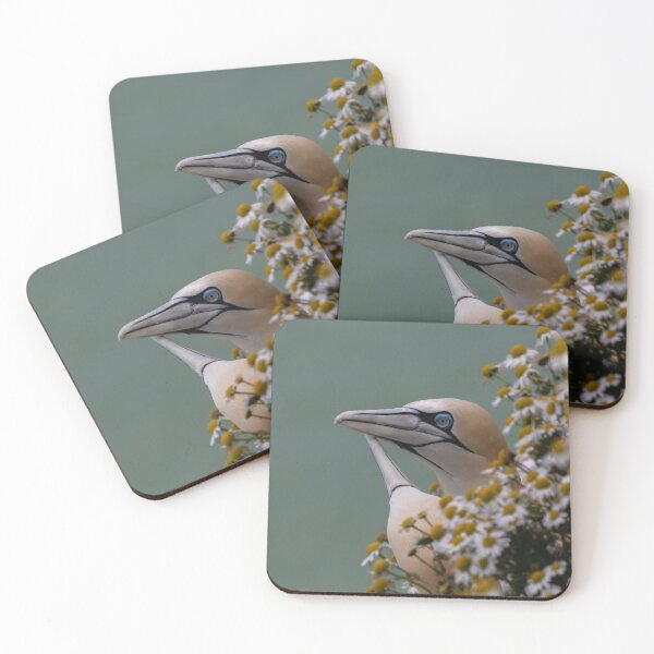 Item preview, Gannets courtship "dance" where pairs engage in bill-fencing designed and sold by Ospreychild.
