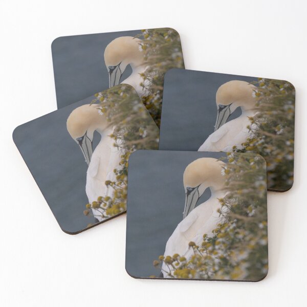 Item preview, Gannet resting - North Yorkshire Coast UK  designed and sold by Ospreychild.