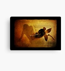 Soulmate Canvas Print