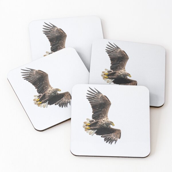 Item preview, White Tailed Eagle in flight over Loch Na Keal Isle of Mull Scotland  designed and sold by Ospreychild.