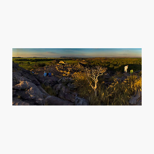 Sun Watchers Photographic Print