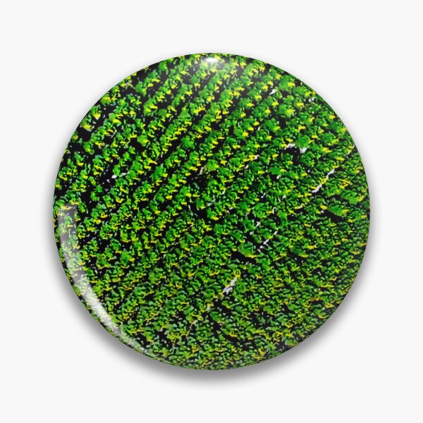 Item preview, Field designed and sold by DjeriK.