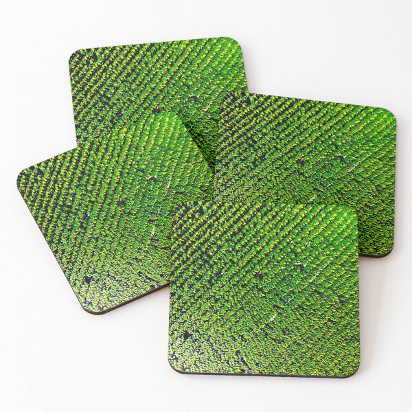 Item preview, Field designed and sold by DjeriK.