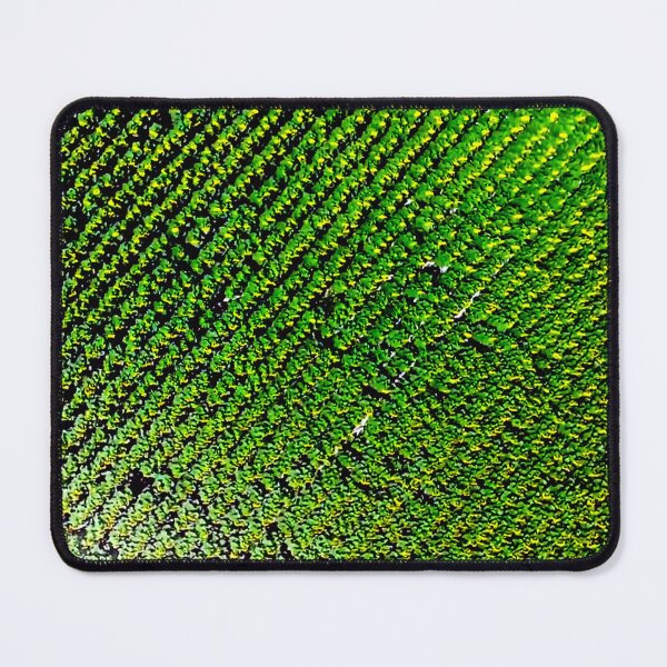 Item preview, Field designed and sold by DjeriK.