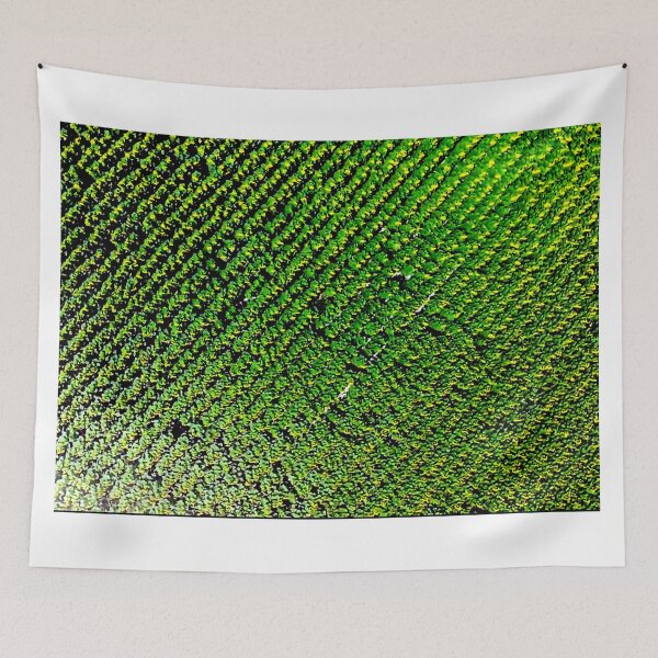 Item preview, Field designed and sold by DjeriK.