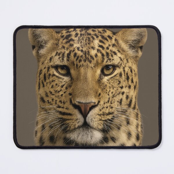 Item preview, Leopard Wildface Artwork – Realistic Wildlife Portrait designed and sold by BROHLine Studio.