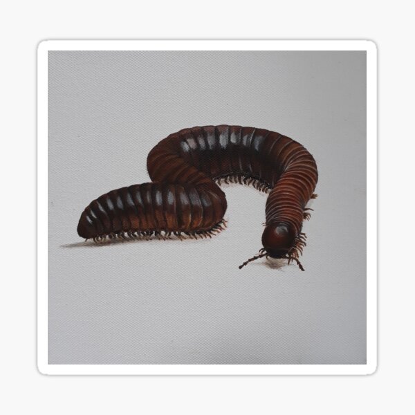 Item preview, Millipede designed and sold by MaggieMosleyArt.
