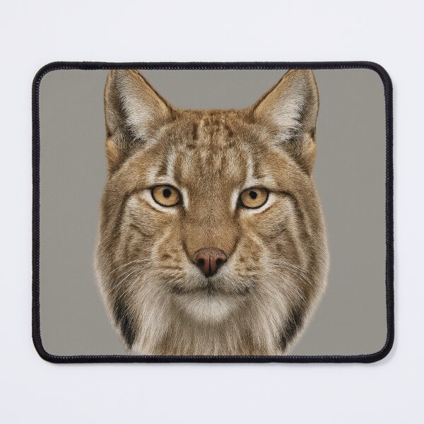 Item preview, Lynx Wildface Artwork – Realistic Wildlife Portrait designed and sold by BROHLine Studio.