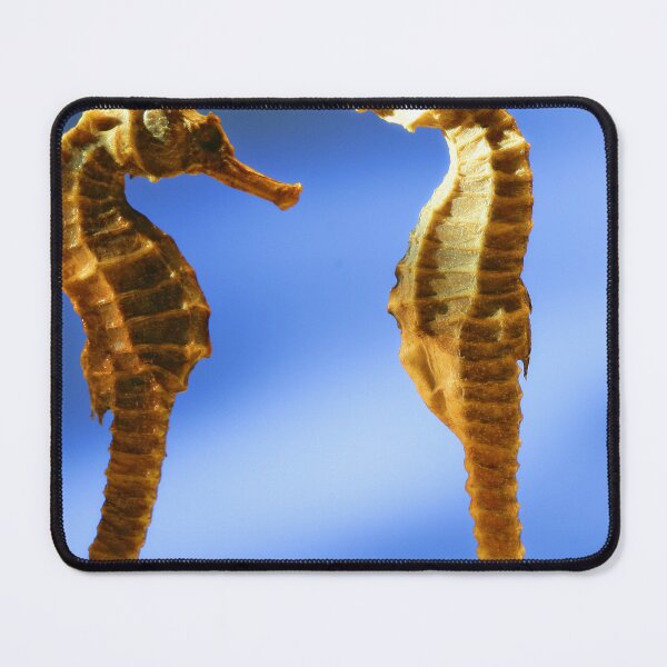 Item preview, Pair of seahorses designed and sold by di-Vera-Rosati.