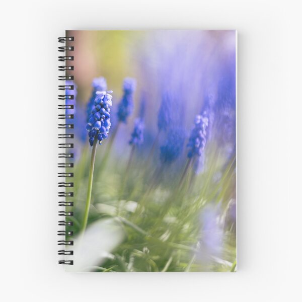 Item preview, Dreamy Blue Grape Hyacinths in Spring Light designed and sold by alicjamiekina.