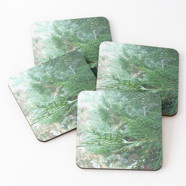Item preview, Evergreen Thuja Conifer Branch - Nature Photography designed and sold by Diana Marrie Designs.
