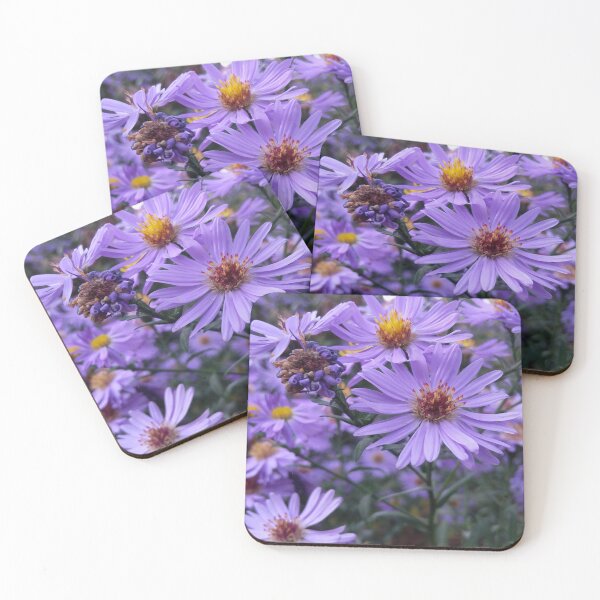 Item preview, Purple Aster Flowers - Vibrant Garden Photography designed and sold by Diana Marrie Designs.
