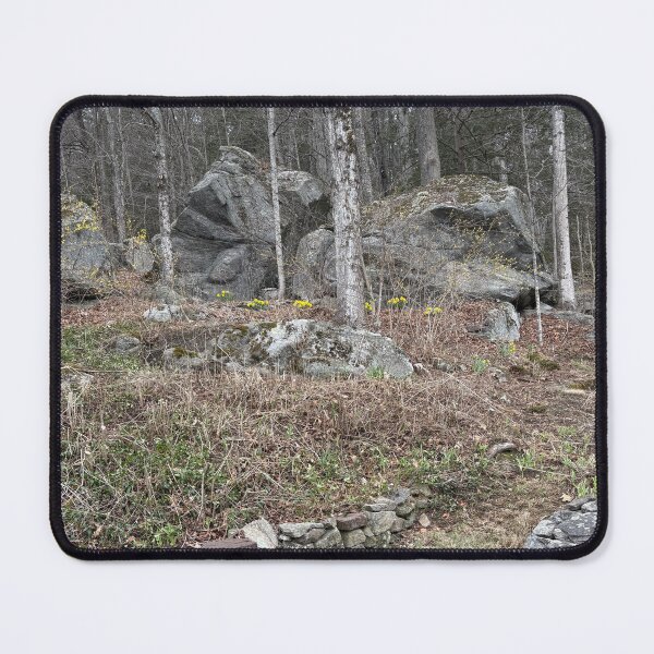 Item preview, A path in the woods designed and sold by Fox in the Willows.