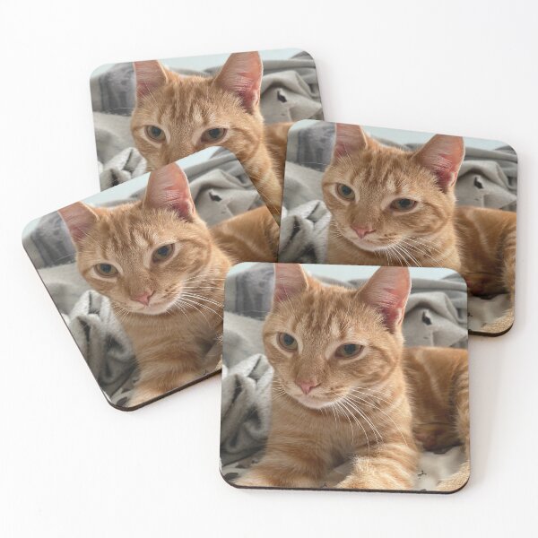 Item preview, Ralphie Cat designed and sold by Fox in the Willows.