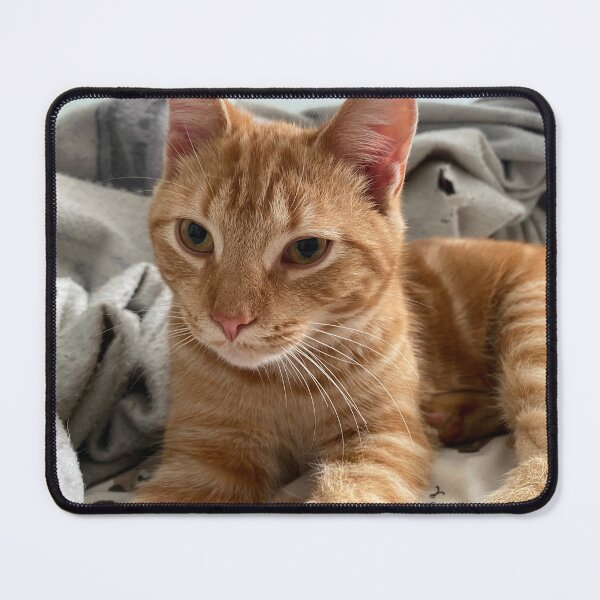 Item preview, Ralphie Cat designed and sold by Fox in the Willows.