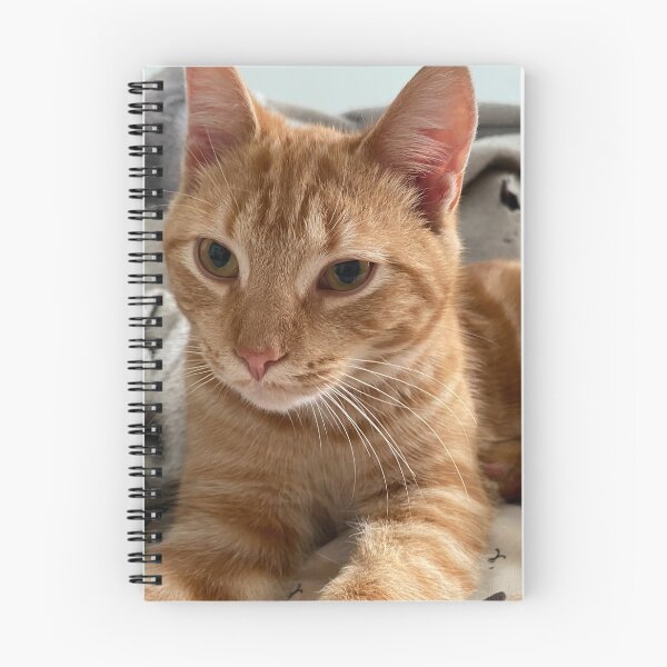 Item preview, Ralphie Cat designed and sold by Fox in the Willows.