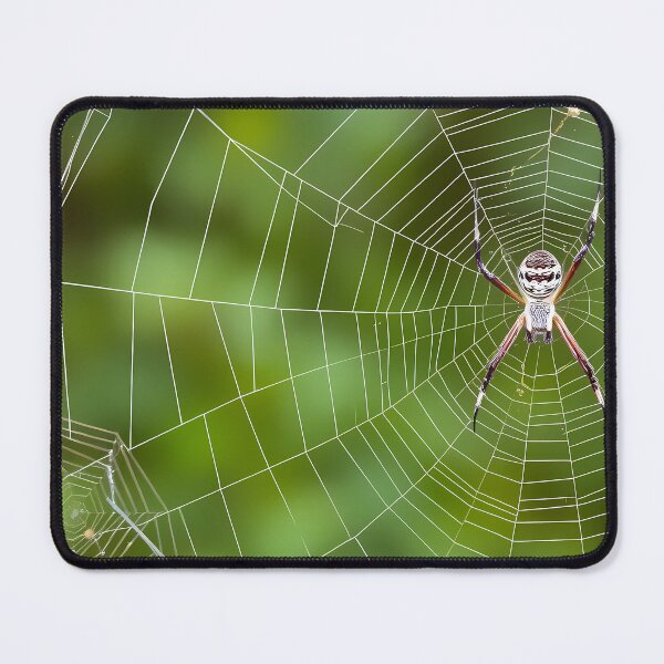 Item preview, Spiders Whimsical Animal Patterns Inspiring Fun Imagination Kids designed and sold by ART ATTACK ZONE.