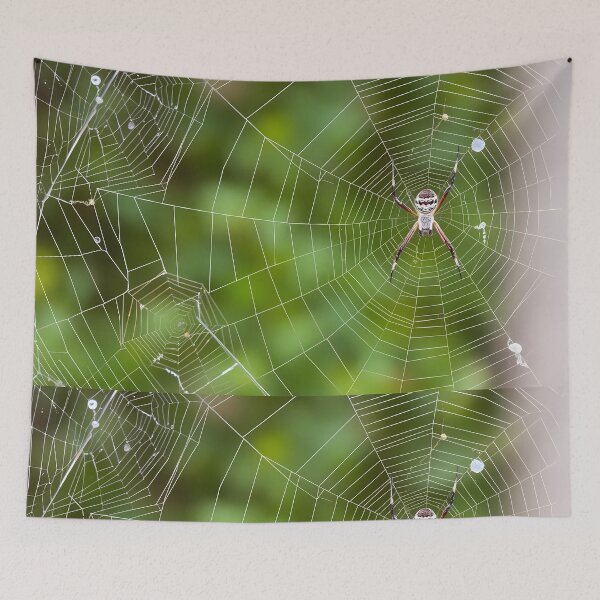 Item preview, Spiders Whimsical Animal Patterns Inspiring Fun Imagination Kids designed and sold by ART ATTACK ZONE.