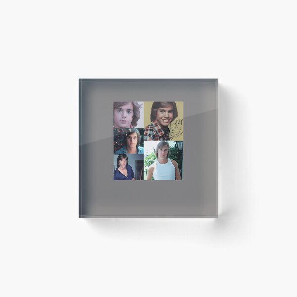 Item preview, SHAUN-CASSIDY-SIGEND designed and sold by CandircePeyto.