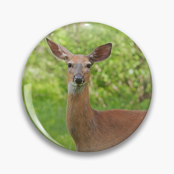 Item preview, Female whitetail deer in a field designed and sold by Production Art Manon Meilleur.