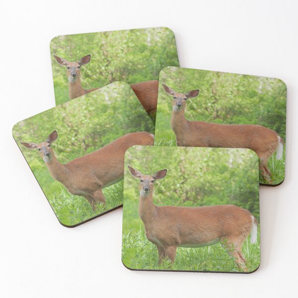 Item preview, Female whitetail deer in a field designed and sold by Production Art Manon Meilleur.