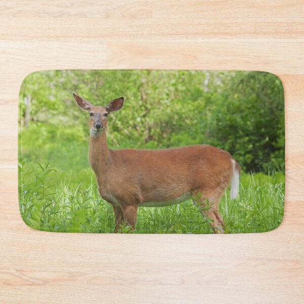 Item preview, Female whitetail deer in a field designed and sold by Production Art Manon Meilleur.