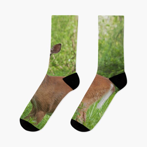 Item preview, Female whitetail deer in a field designed and sold by Production Art Manon Meilleur.