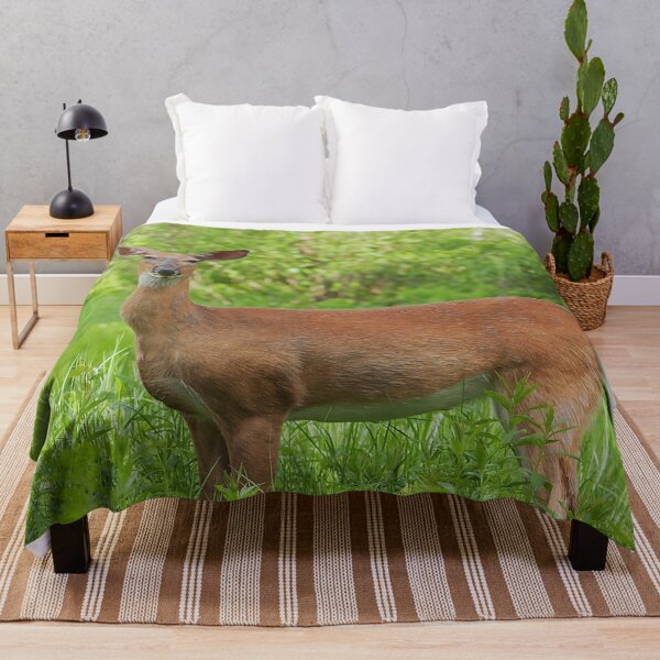 Item preview, Female whitetail deer in a field designed and sold by Production Art Manon Meilleur.