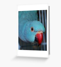 Razor Greeting Card