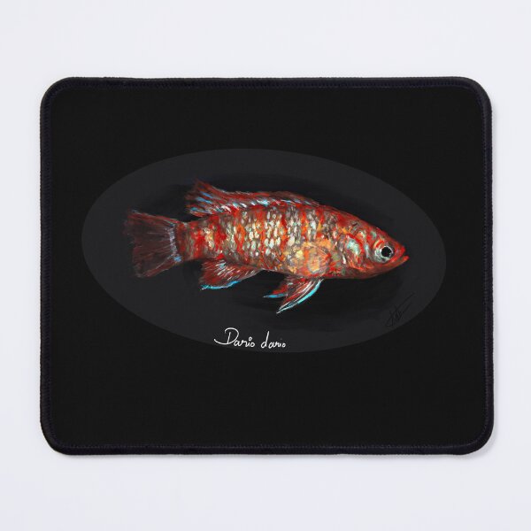 Item preview, Scarlet Badis (Dario dario) - Nano Tank Jewel - Oil Paint Style designed and sold by AshDra.