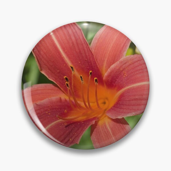Item preview, Daylily flower from my garden designed and sold by Production Art Manon Meilleur.