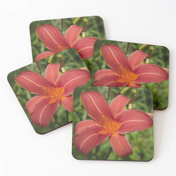 Item preview, Daylily flower from my garden designed and sold by Production Art Manon Meilleur.