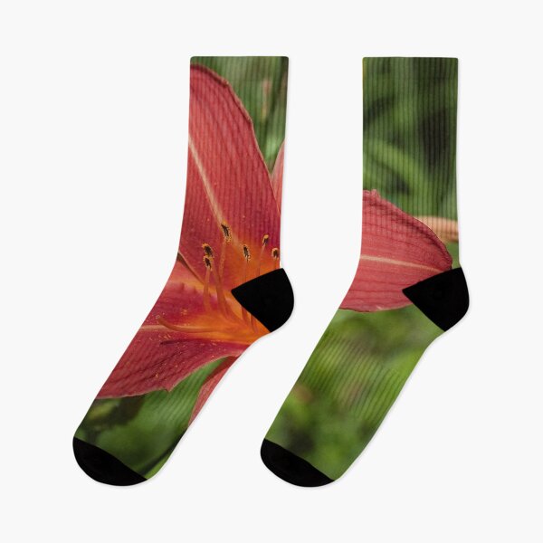 Item preview, Daylily flower from my garden designed and sold by Production Art Manon Meilleur.