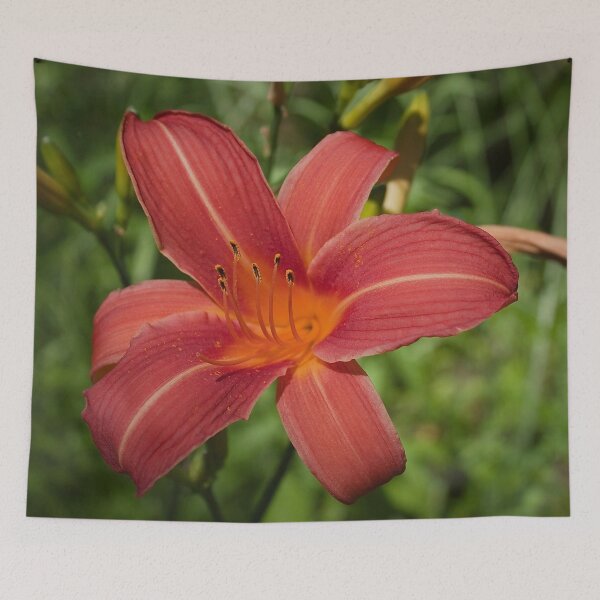 Item preview, Daylily flower from my garden designed and sold by Production Art Manon Meilleur.